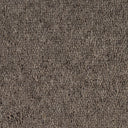 BELT (Broadloom)