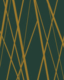 Lines