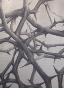 Thorns
